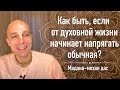 Как быть, если от духовной жизни начинает напрягать обычная? (Мадана-мохан дас, 22 мая 2020)