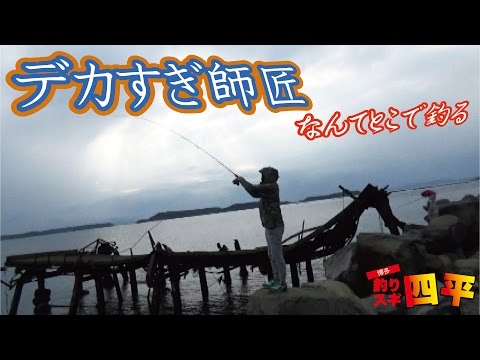 春の巨大アオリイカ苦難の釣り上げ(150話目)