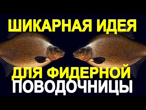 Шикарная Идея для