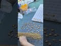 Dawn Star Fashion Jewelry manufacturer