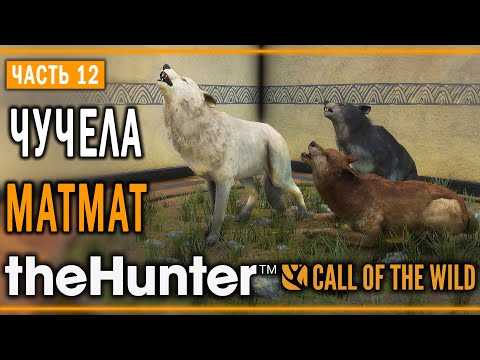 Видео: theHunter Call of the Wild #12 🐺 - АЛЬФА-ВОЛК - Кoмпозиции из Чучeл