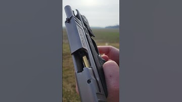 Smith & Wesson SD9VE.