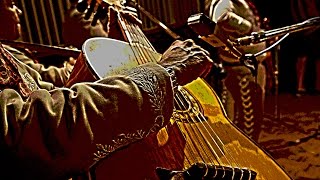 Vignette de la vidéo "SE TE OLVIDA (LA MENTIRA) | ARTURO CORONADO | MARIACHI NUEVO TECALITLAN"