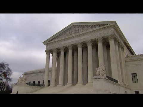 Michigan court rules Trump can remain on primary ballot - YouTube
