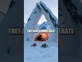 Antarctic Survival Challenge