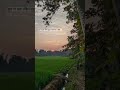 कुछ भी कहो लेकिन सुकून तो गाँव में है।#yt#ytshorts#nature#ytreels#ytviral #music#love#sukoon#insta🫶✨