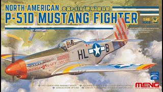 P-51D Mustang Fighter : 1/48 Scale : Meng : In Box Review
