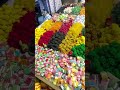 سورية جنة والفرح سوري 