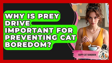 Why Is Prey Drive Important For Preventing Cat Boredom? - Happy Cat Handbook