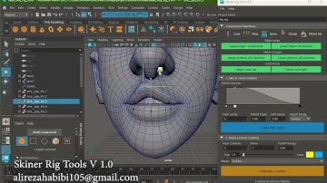 Skiner rig tools (script maya)