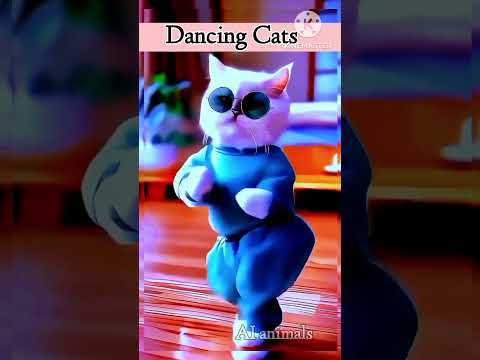 Billi ka gajab dance #shorts