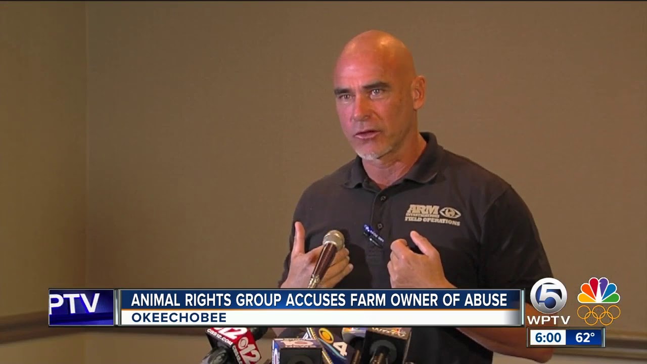 Fair Oaks Farms under investigation for alleged animal abuse after activists release graphic video