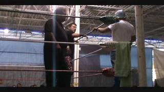 LMI 20100718 campeonato part II.wmv