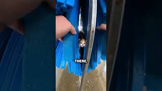 Little kitten trapped in car wash spinning brush system 🚗🌀😰
