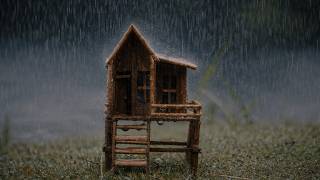 Calm Rain for Sleep 🌧️ Soft Rain Ambience with Subtle Thunder screenshot 3