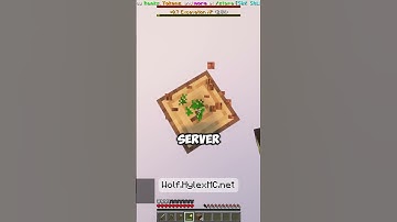 TLauncher Players, Join the Best OneBlock Survival Worlds!