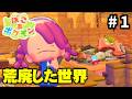 人もポケモンもいない荒廃した世界【ぽこ あ ポケモン】#1