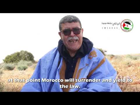 " Hmad Hammad Advocates Independence of Western Sahara as Crucial for Peace and Justice"
