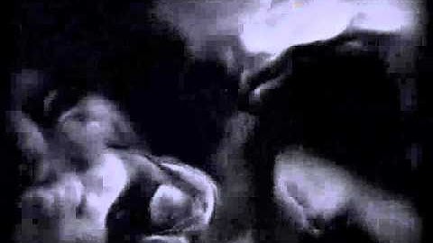 Fatal Frame - Can You See Me Now?