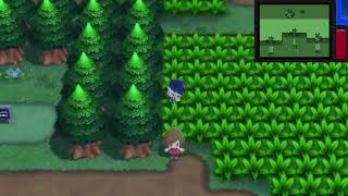 Shiny Sentret (41 PokeRadar chain)