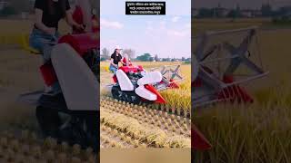 গ্রামের মাঠে জাপানি প্রযুক্তির ঝড়! মিনি হারভেস্টার দেখে সবাই অবাক 🚜🔥
