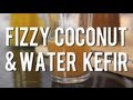 How to Make Fizzy Coconut & Water Kefir from Kefir Grains (Probiotic Drink)