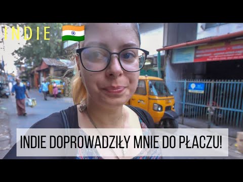 Wideo: Czy kocziny mają 5 palców u nóg?