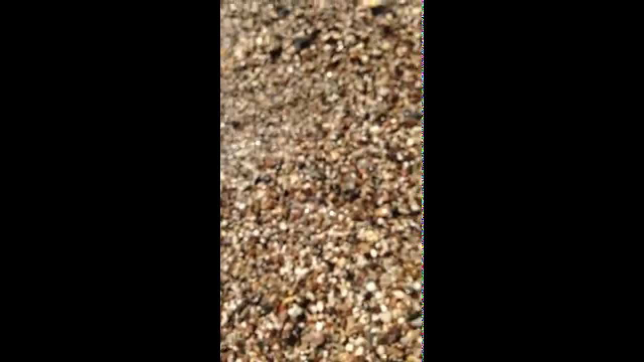 Beach Glass Lake Michigan