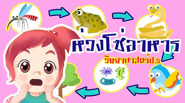 วิทยาศาสตร์ ป.5 โซ่อาหาร Food chain(Life Science) Lipda Pola DIY KIDS EP.5 ตอน ห่วงโซ่อาหาร