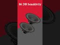 Unleash Powerful Bass with the 5 Core 10-Inch Subwoofer | 600W PMPO Power
