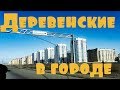 Что делают деревенские в городе?😉😉😉 68 серия