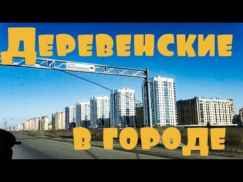 Вопрос: Взять ли деревенскую кошку в город?