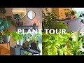 【PLANT TOUR】部屋がオシャレになる観葉植物インテリア27種類のご紹介| 観葉植物のある暮らし | インテリアグリーン | plant collection