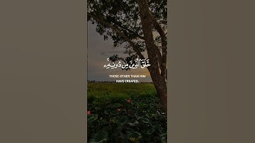 هذا خلق الله فأروني ماذا خلق الذين من دونه||حالات واتس قرآن ||القارئ#عبدالباسط_عبدالصمد