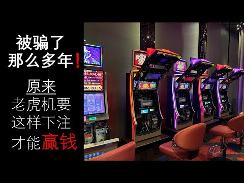 赶紧学 老虎机要这样下注才能赢钱