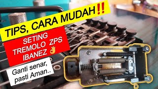 CARA SETING TREMOLO ZPS IBANEZ, Ganti senar❓pasti aman