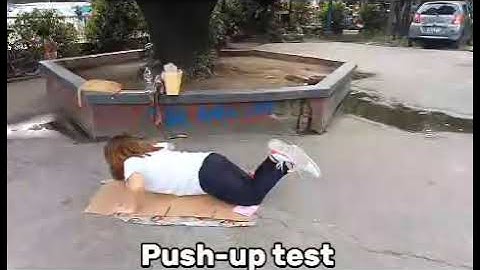 Partial Curl-up, Push-up, Trunk lift and Hexagon Agility Test