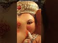 Ramnagar siddiq bhai ganesh aagman 2022  balapur ganesh idol  shorts ganesh trending viral