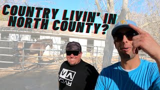 Living in Encinitas California | Olivenhain [Full Vlog Tour]