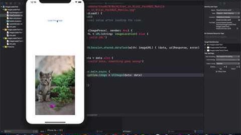 How to use URLSession data task to easily retrieve an image from the server
