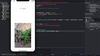 How to use URLSession data task to easily retrieve an image from the server
