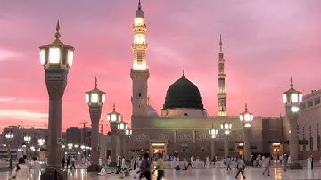 القرآن الكريم : سورة المسد Quran Translation: Al-Masad : 111