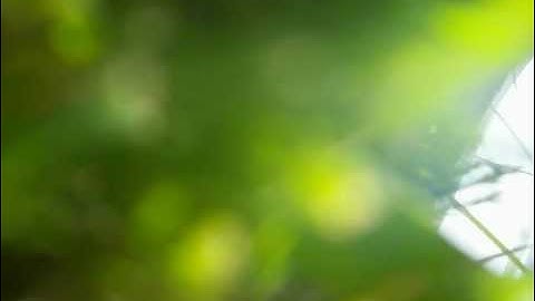 james fpv with mikeysrc fpv v3