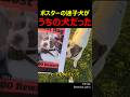 ポスターの迷子犬がうちの犬だった