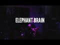 Elephant brain live art of noise 2122017