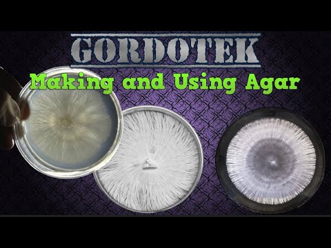Making and Using Agar (for mycology)