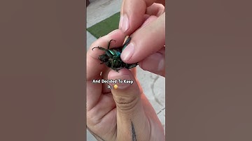 We Found A FBI Bug and Kept it As A Pet😳😱