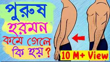 টেস্টোস্টেরন হরমন কি? কমে গেলে কি হয়? কিভাবে এটি বাড়ানো যায়?