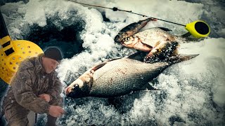 Декабрьская рыбалка на озере ⎮мотыль и мормышка-безмотылка ⎮VLOG 065