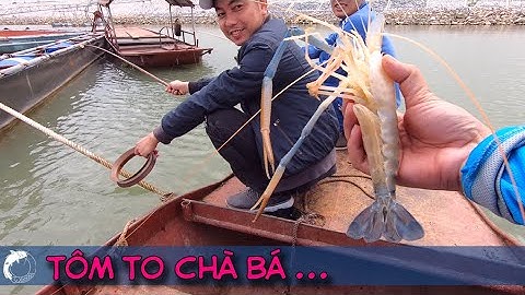 Câu Được Tôm Càng Xanh Khủng Mà Vẫn Buồn Mênh Mang | Câu Cá Ngạnh Sông Đuống